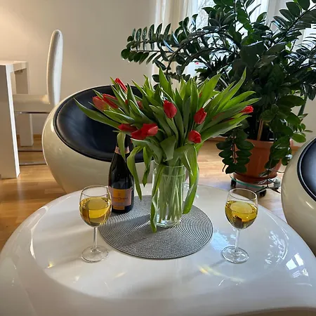 Apartment Karla Capka Karlovy Vary